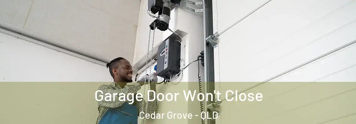  Garage Door Won't Close Cedar Grove - QLD