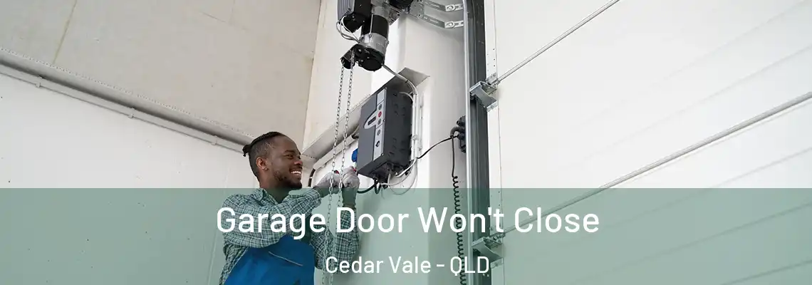Garage Door Won't Close Cedar Vale - QLD