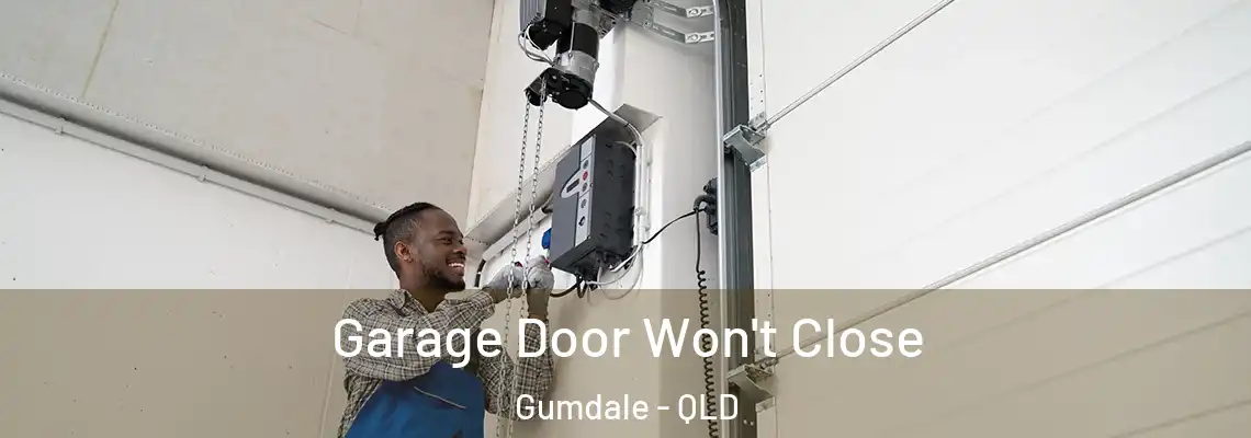 Garage Door Won't Close Gumdale - QLD