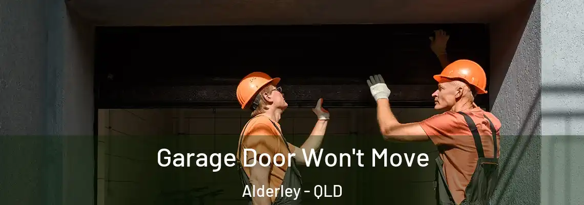  Garage Door Won't Move Alderley - QLD