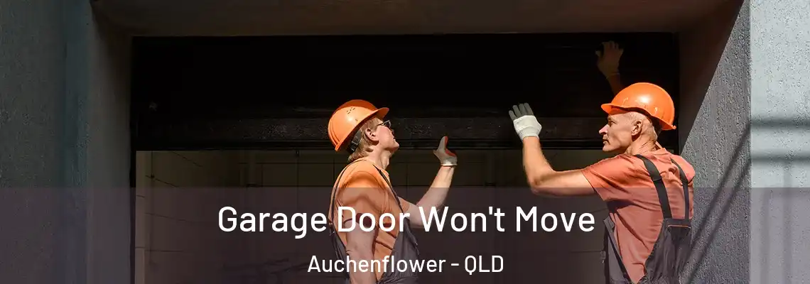 Garage Door Won't Move Auchenflower - QLD
