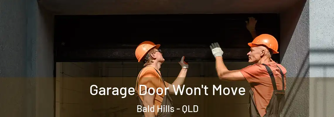  Garage Door Won't Move Bald Hills - QLD