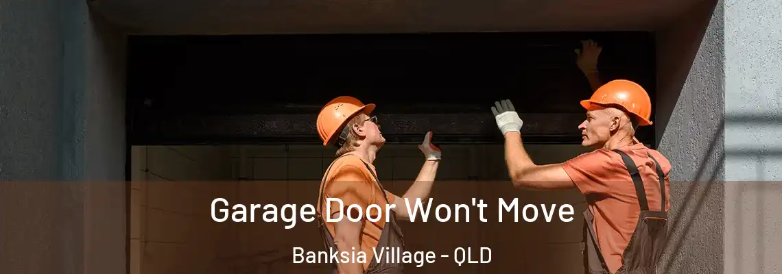 Garage Door Won't Move Banksia Village - QLD