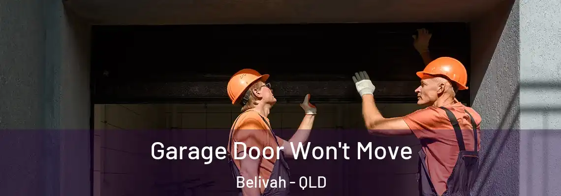 Garage Door Won't Move Belivah - QLD