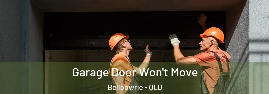 Garage Door Won't Move Bellbowrie - QLD