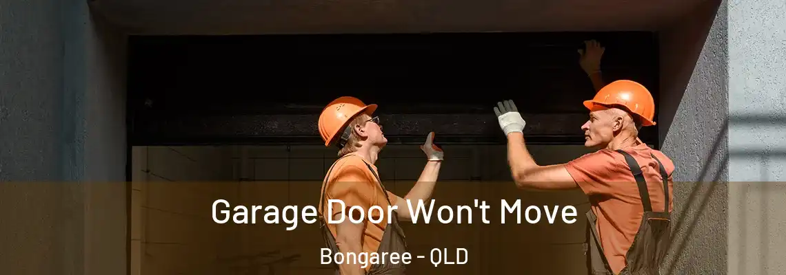 Garage Door Won't Move Bongaree - QLD