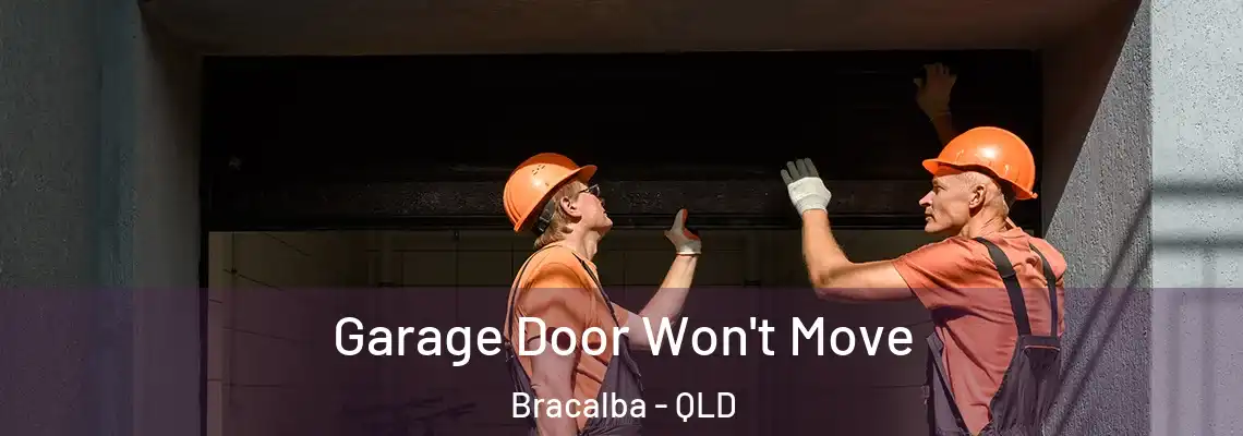 Garage Door Won't Move Bracalba - QLD