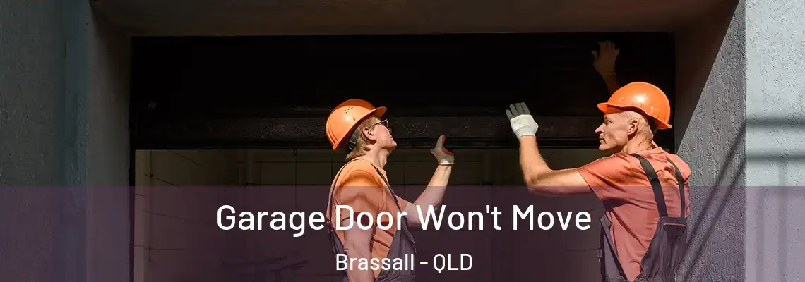 Garage Door Won't Move Brassall - QLD