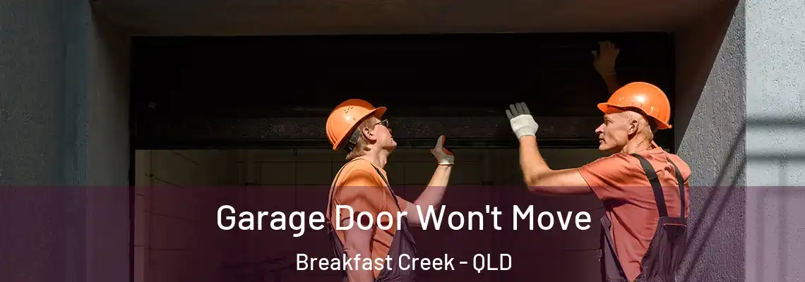 Garage Door Won't Move Breakfast Creek - QLD