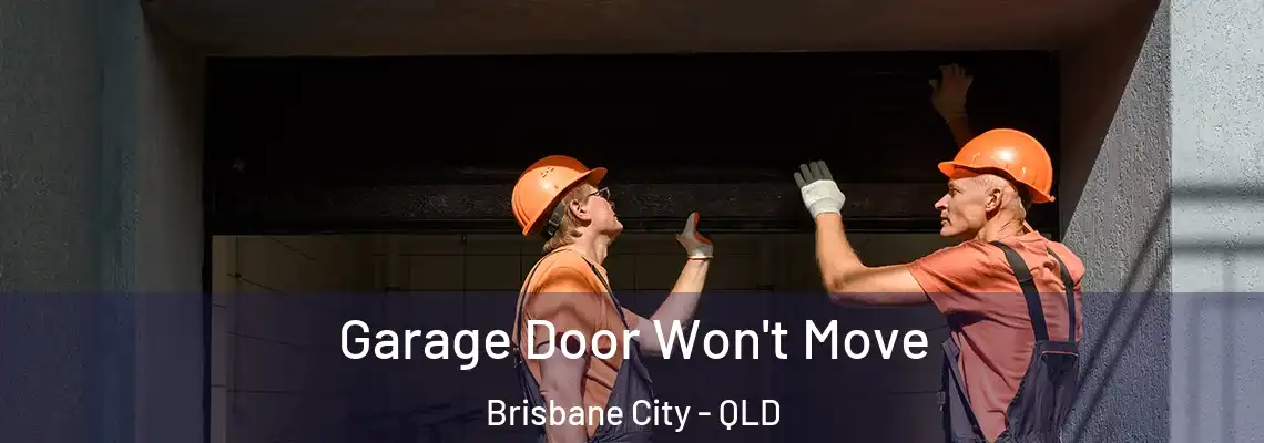 Garage Door Won't Move Brisbane City - QLD