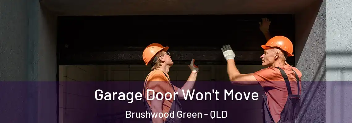 Garage Door Won't Move Brushwood Green - QLD