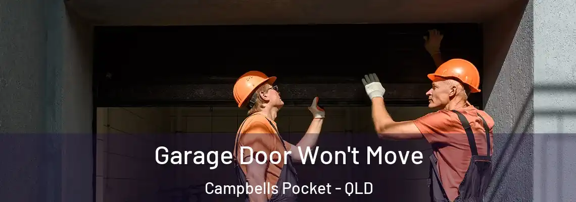 Garage Door Won't Move Campbells Pocket - QLD