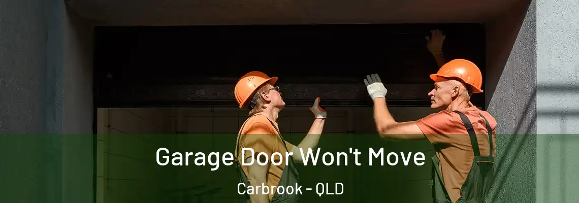 Garage Door Won't Move Carbrook - QLD