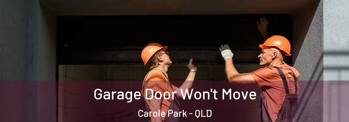 Garage Door Won't Move Carole Park - QLD