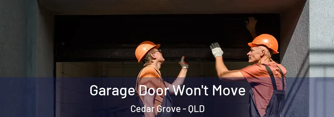 Garage Door Won't Move Cedar Grove - QLD