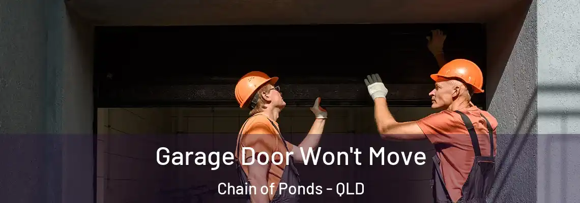 Garage Door Won't Move Chain of Ponds - QLD