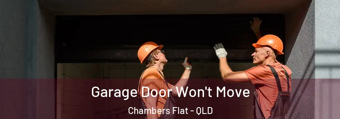  Garage Door Won't Move Chambers Flat - QLD