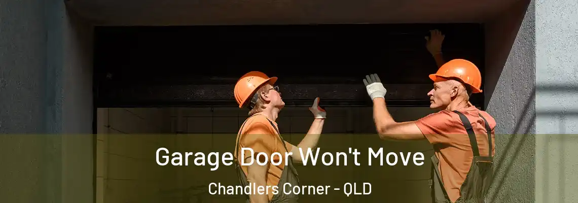 Garage Door Won't Move Chandlers Corner - QLD