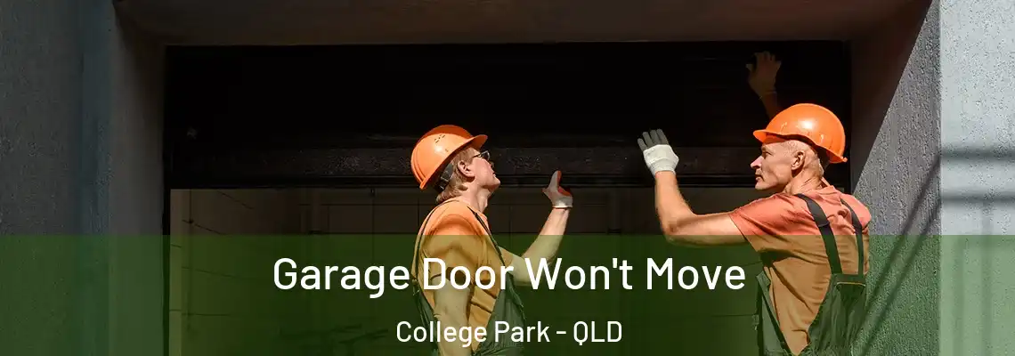 Garage Door Won't Move College Park - QLD