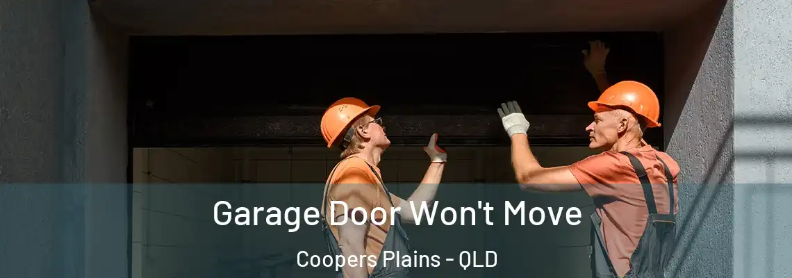 Garage Door Won't Move Coopers Plains - QLD