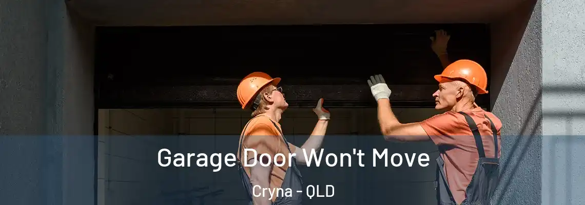 Garage Door Won't Move Cryna - QLD