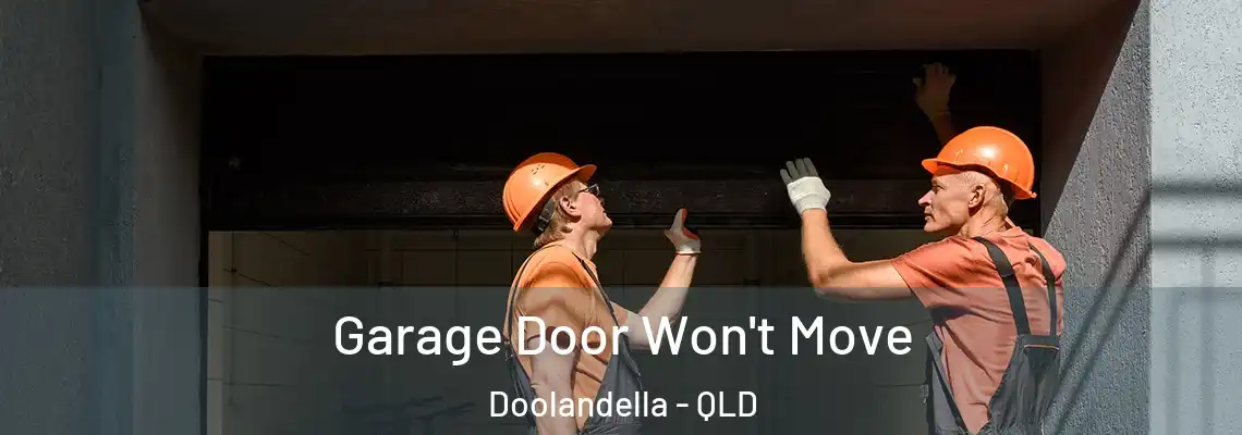  Garage Door Won't Move Doolandella - QLD