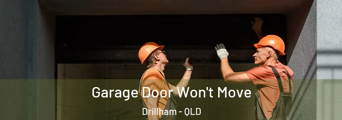 Garage Door Won't Move Drillham - QLD