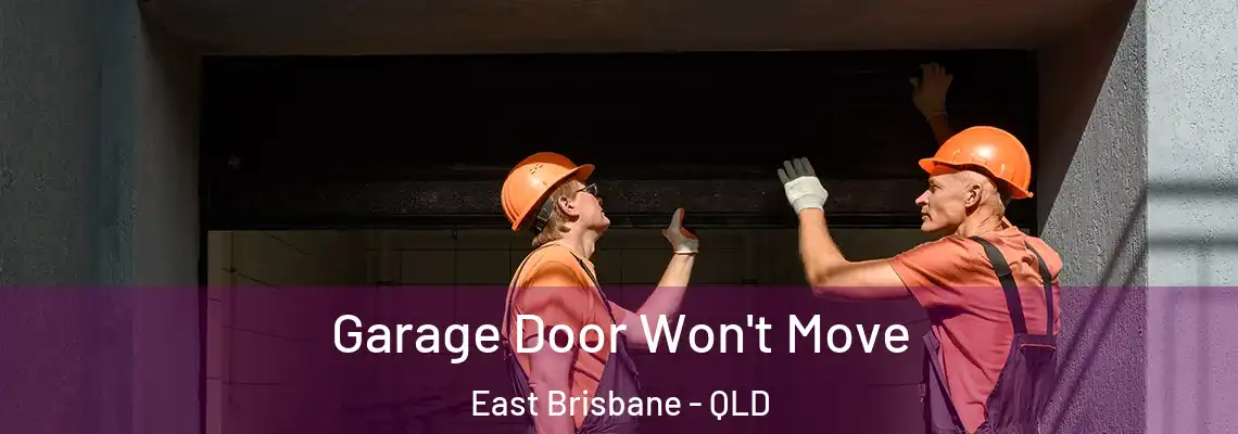 Garage Door Won't Move East Brisbane - QLD
