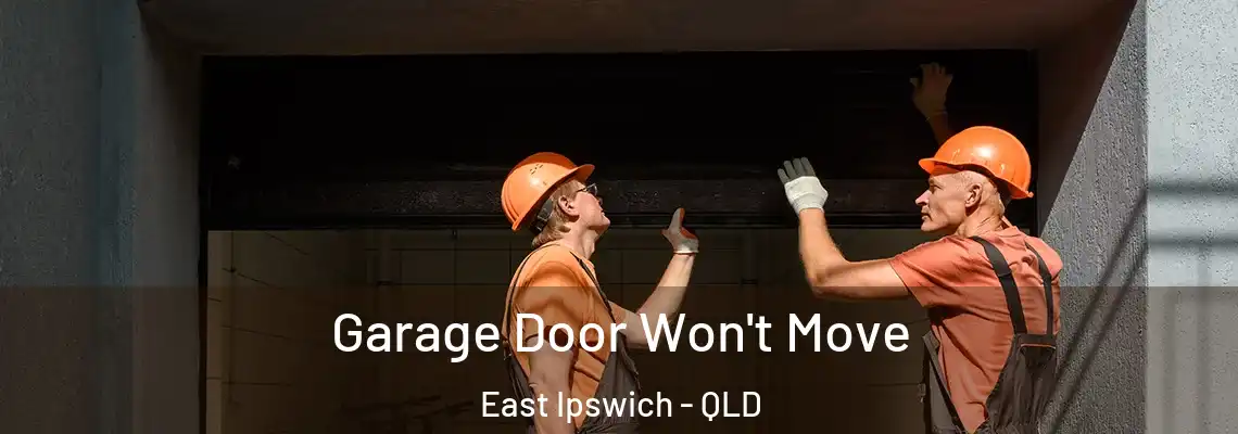 Garage Door Won't Move East Ipswich - QLD