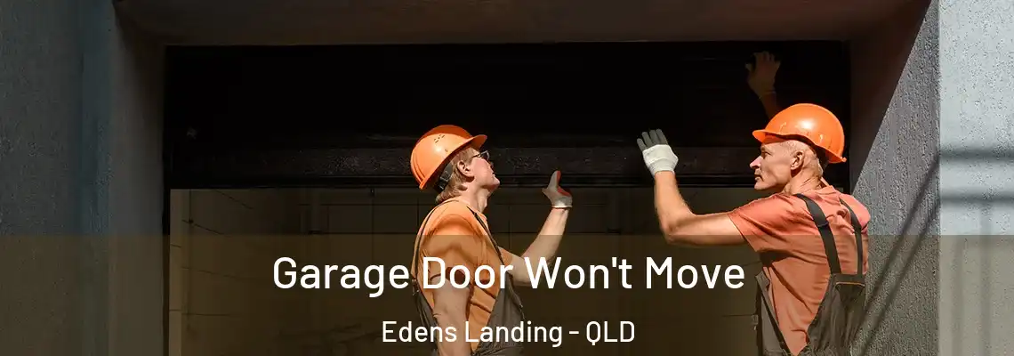 Garage Door Won't Move Edens Landing - QLD