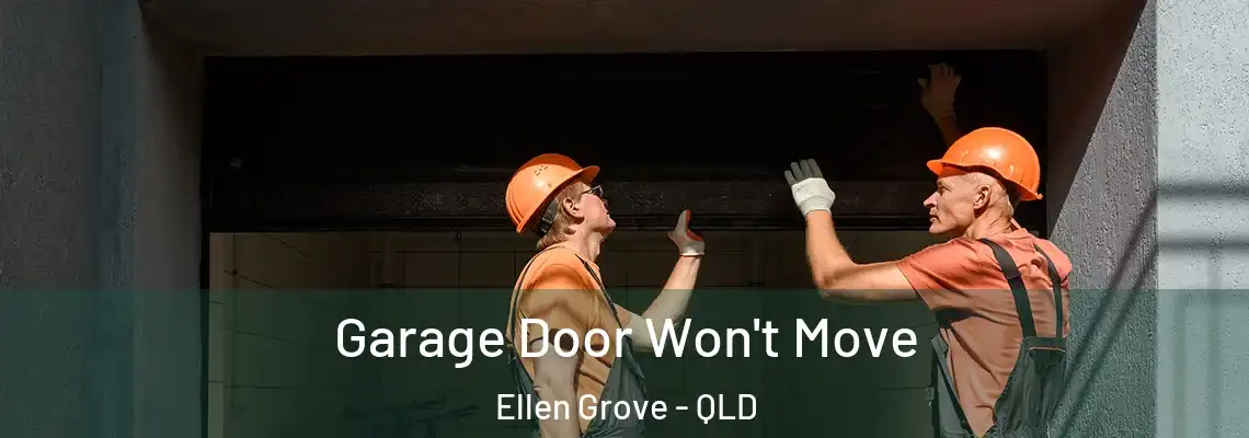  Garage Door Won't Move Ellen Grove - QLD