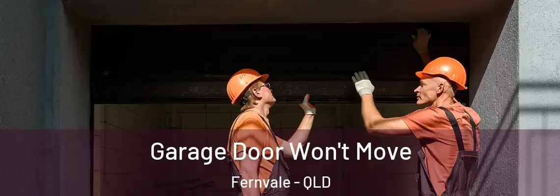  Garage Door Won't Move Fernvale - QLD