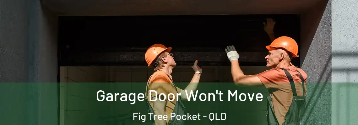 Garage Door Won't Move Fig Tree Pocket - QLD