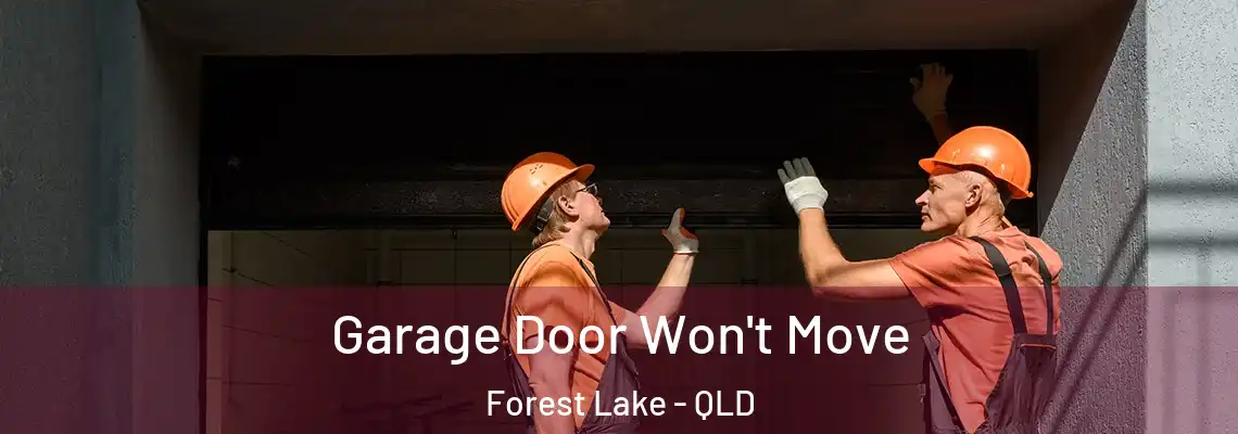 Garage Door Won't Move Forest Lake - QLD