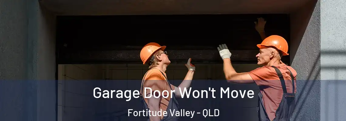 Garage Door Won't Move Fortitude Valley - QLD
