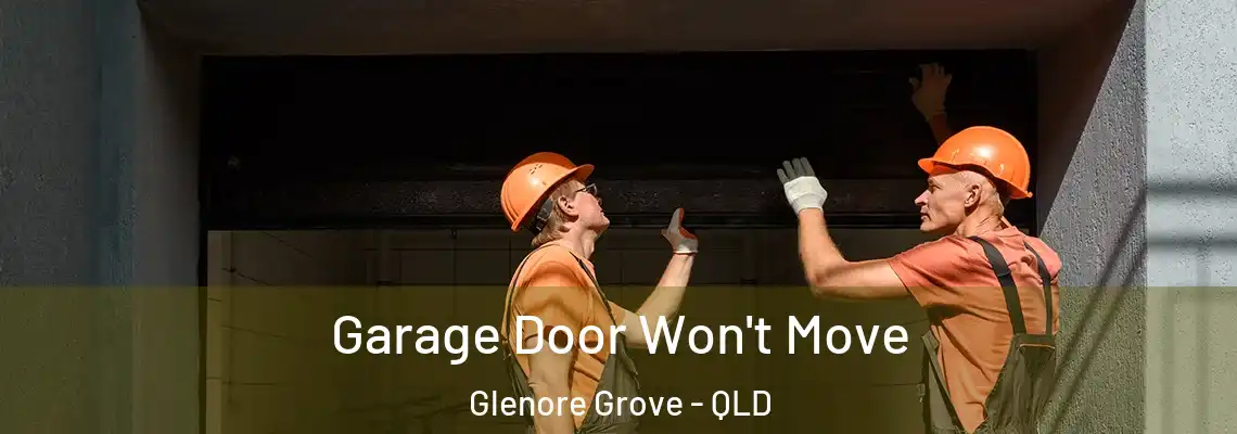 Garage Door Won't Move Glenore Grove - QLD