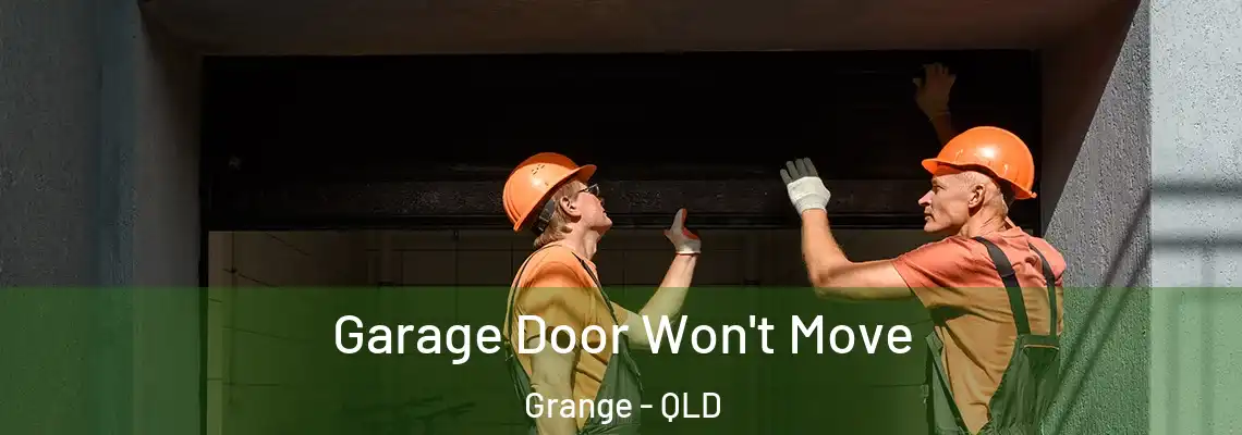Garage Door Won't Move Grange - QLD