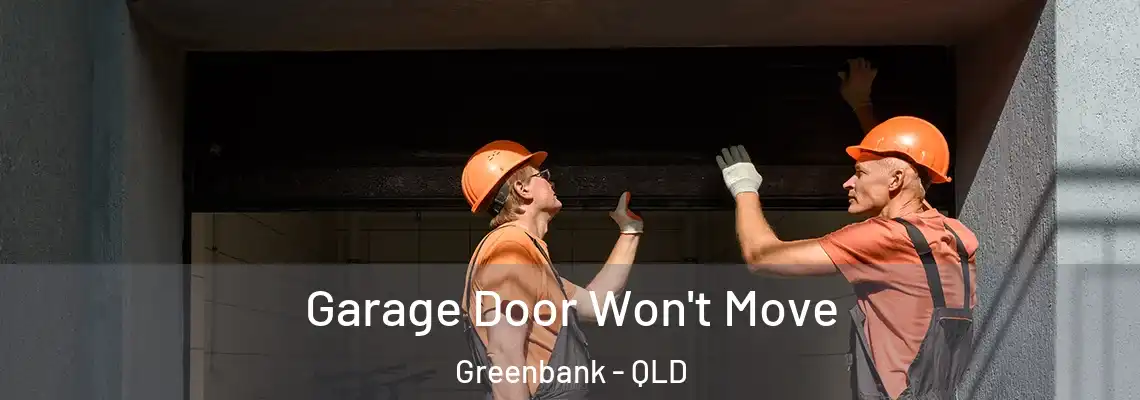Garage Door Won't Move Greenbank - QLD