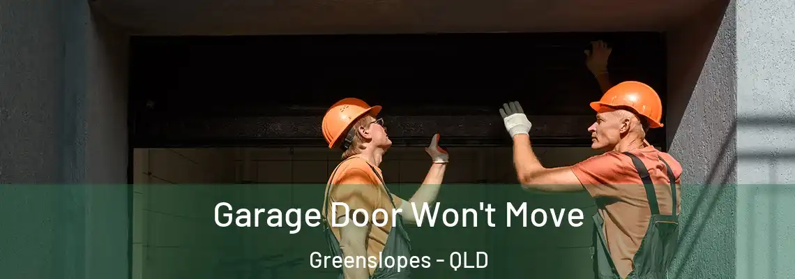  Garage Door Won't Move Greenslopes - QLD