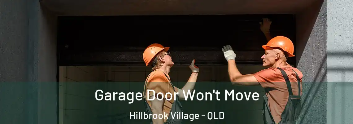  Garage Door Won't Move Hillbrook Village - QLD