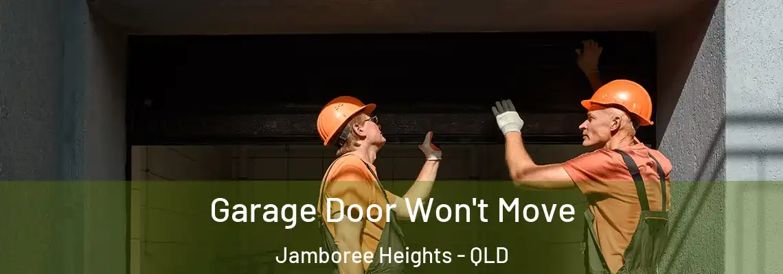 Garage Door Won't Move Jamboree Heights - QLD