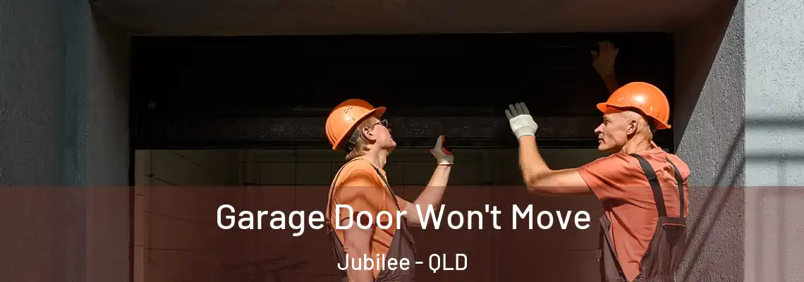Garage Door Won't Move Jubilee - QLD