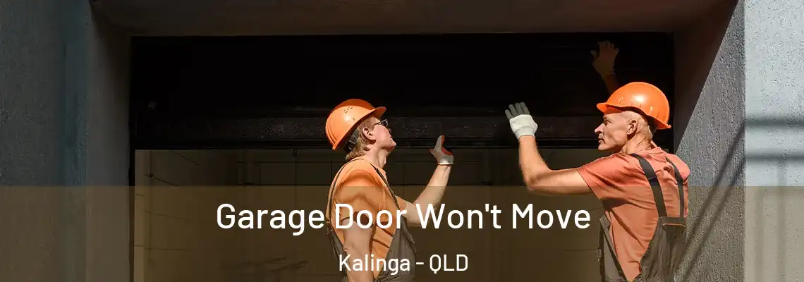 Garage Door Won't Move Kalinga - QLD