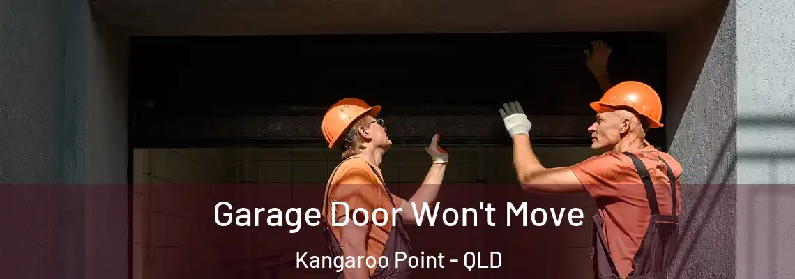 Garage Door Won't Move Kangaroo Point - QLD