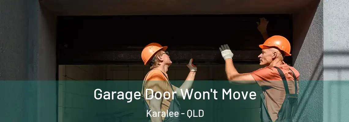 Garage Door Won't Move Karalee - QLD