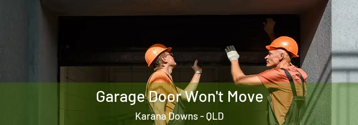 Garage Door Won't Move Karana Downs - QLD
