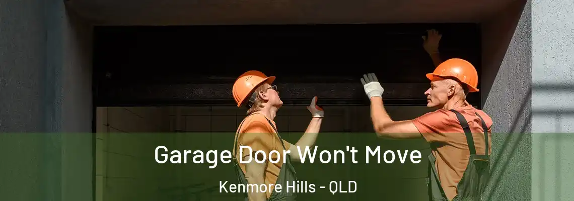 Garage Door Won't Move Kenmore Hills - QLD