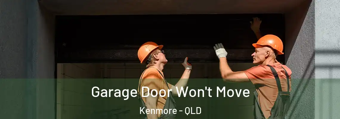 Garage Door Won't Move Kenmore - QLD