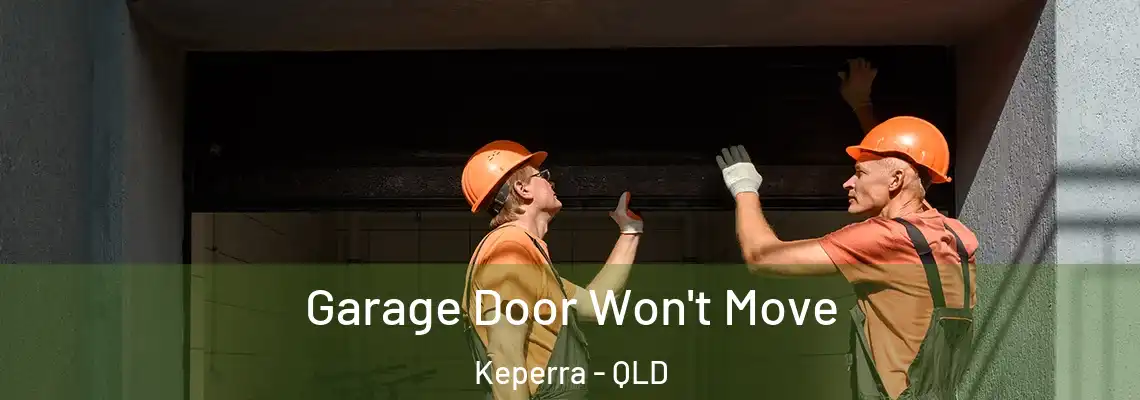 Garage Door Won't Move Keperra - QLD