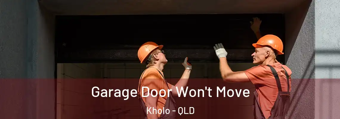 Garage Door Won't Move Kholo - QLD